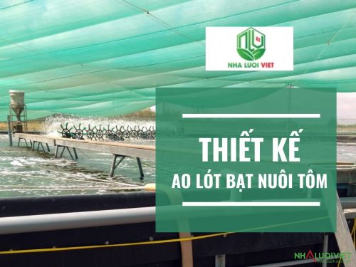 Cách thiết kế ao nuôi tôm lót bạt