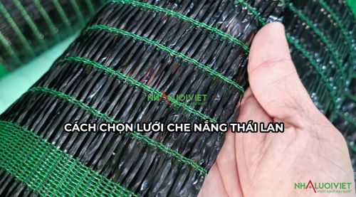 Cách chọn lưới che nắng Thái Lan