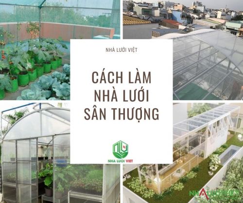 Cách làm nhà lưới trên sân thượng