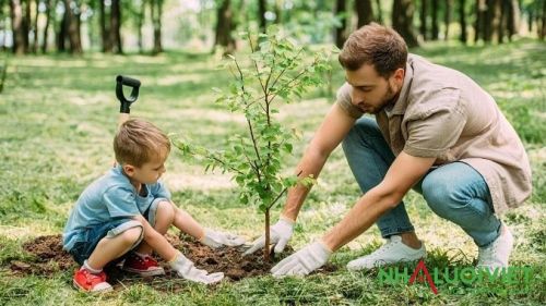 Chọn cây trồng phù hợp