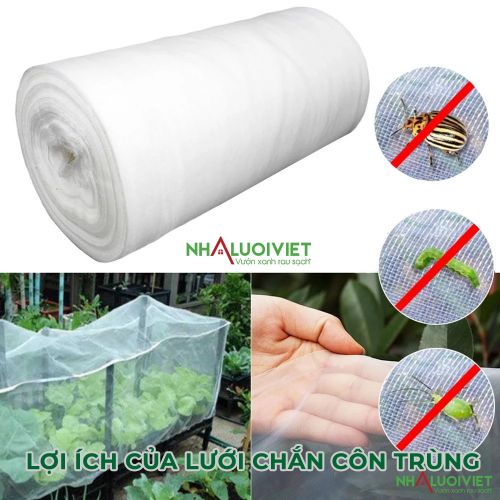 Lợi ích của lưới chắn côn trùng