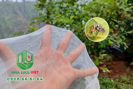 Cách ngăn ruồi vàng hại cây ăn quả bằng lưới chắn côn trùng
